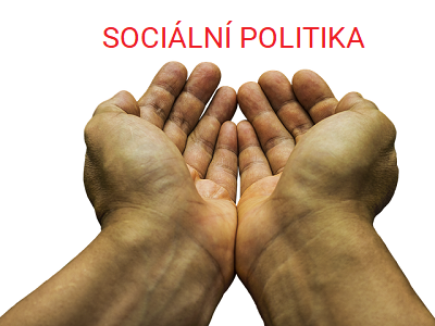 Sociální politika: Realizace, cíle a projevy